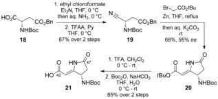 Scheme 5