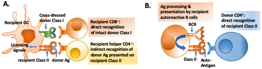 Fig 1.