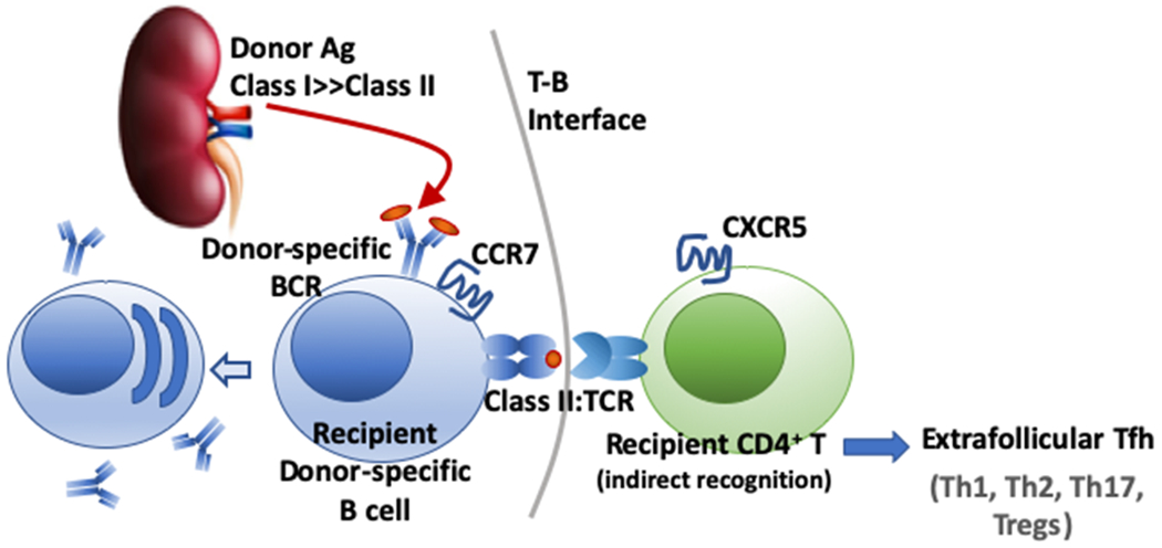 Fig 2.