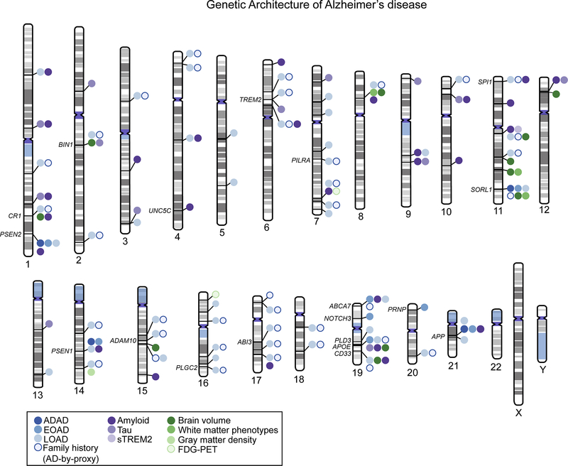 Figure 1: