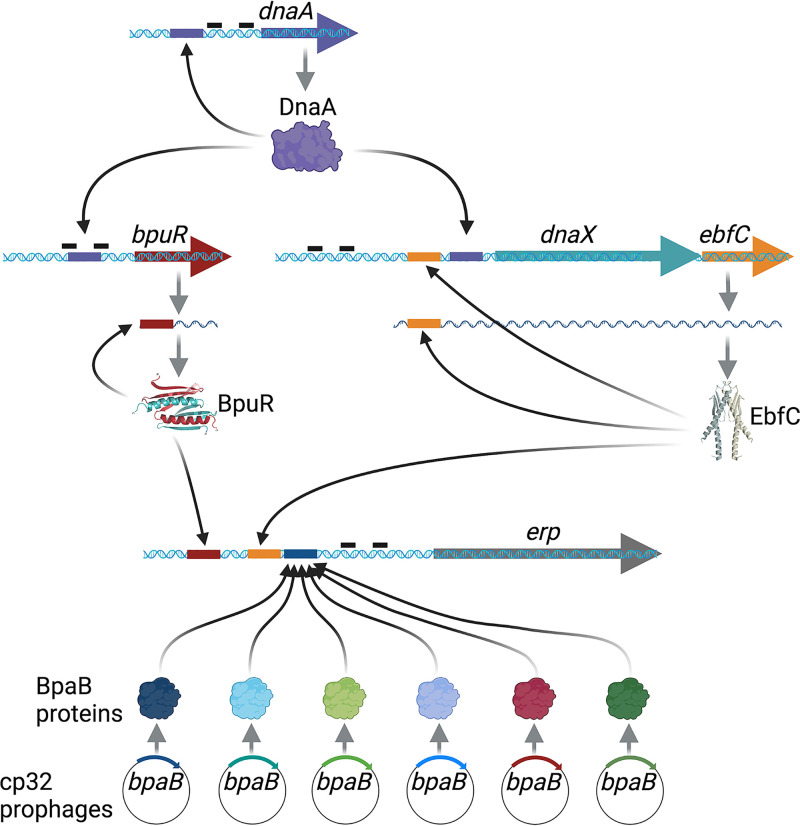 FIG 3