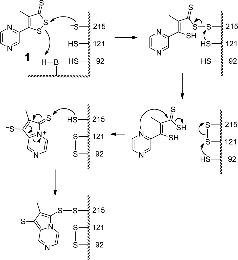 Scheme 1