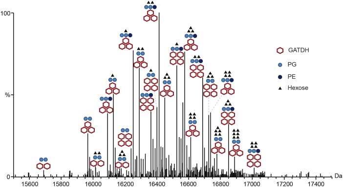 Fig 2