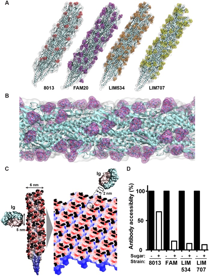 Fig 6