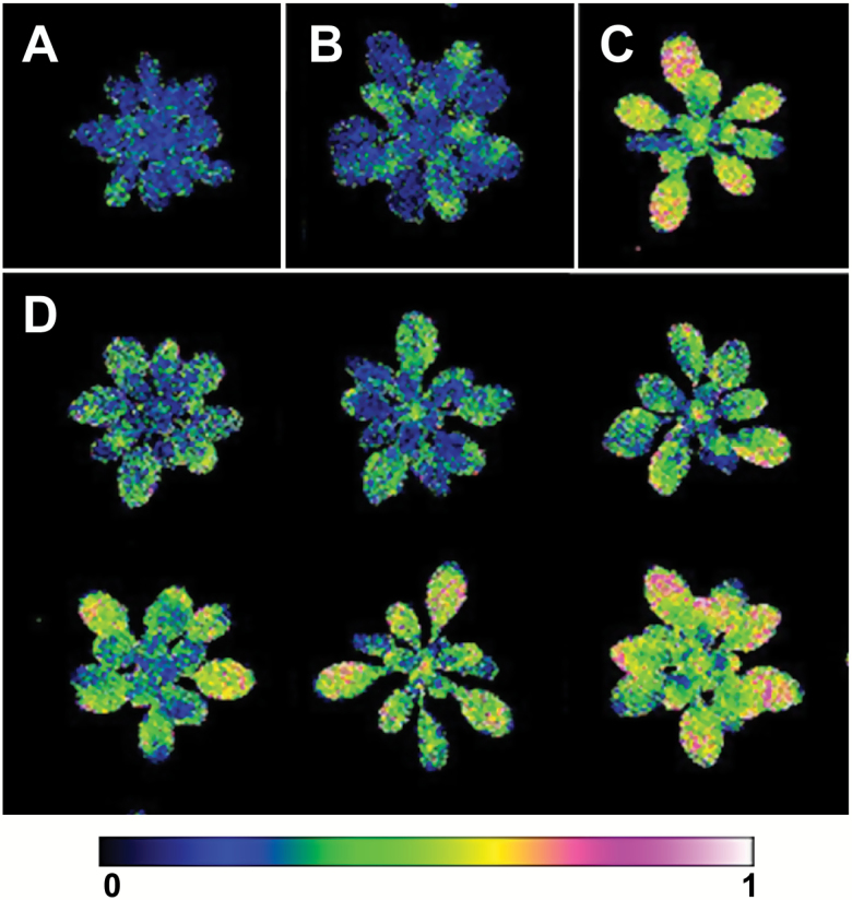 Fig. 4.