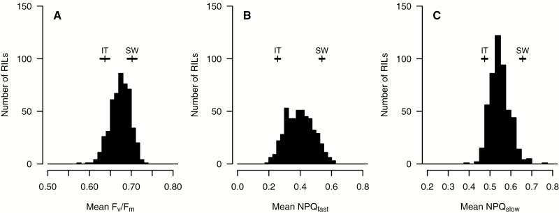 Fig. 2.