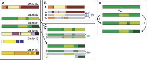 Figure 7.