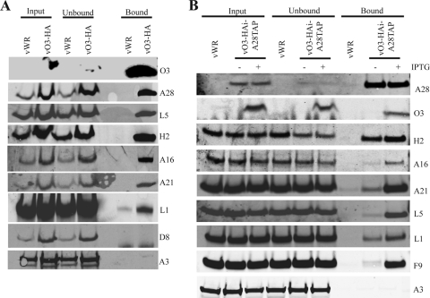 FIG. 9.