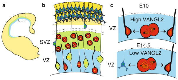 Fig. 16.3