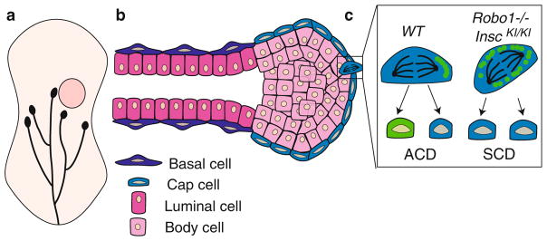 Fig. 16.6