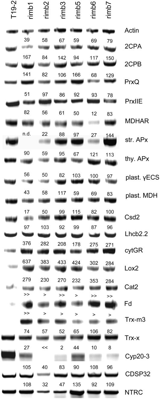 Figure 10.