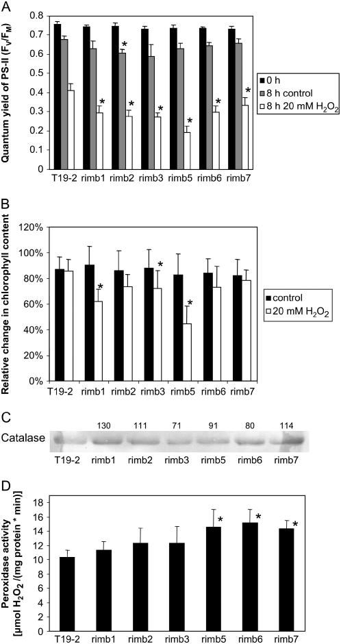 Figure 9.