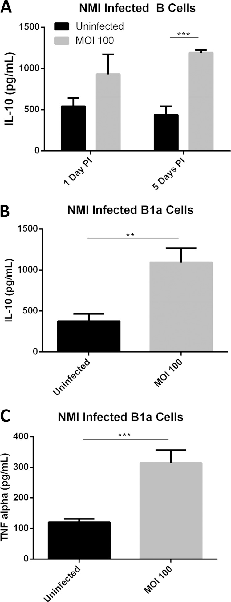 FIG 6