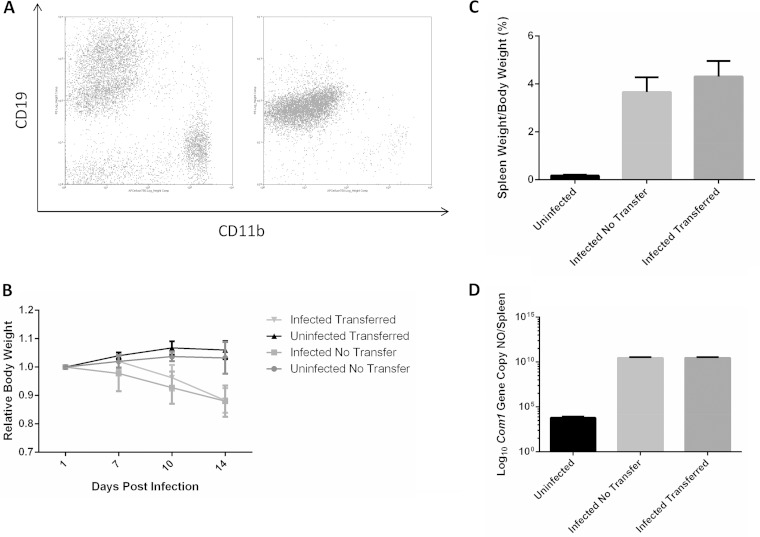 FIG 4