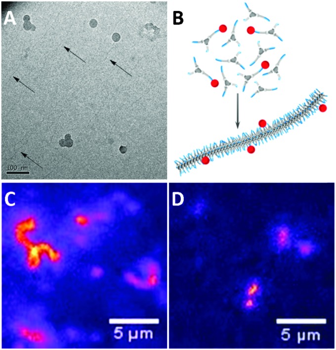 Fig. 2