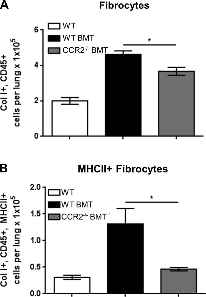 Fig. 9.