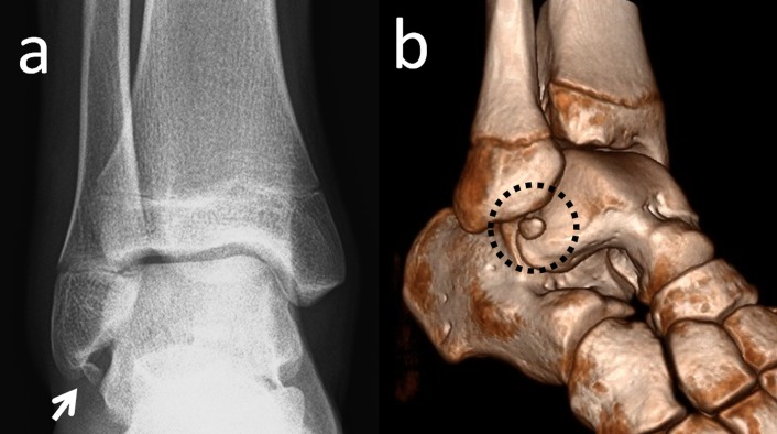 Figure 7