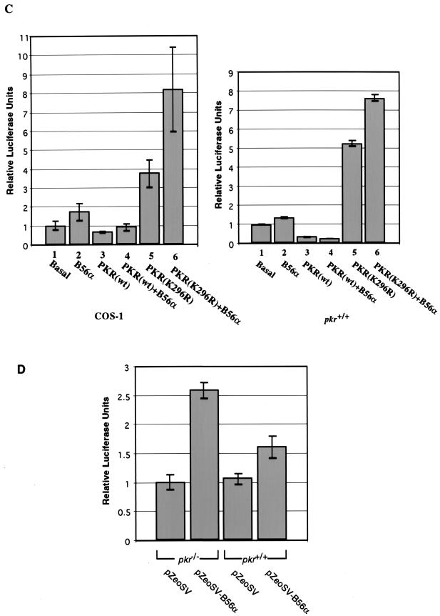 FIG. 7