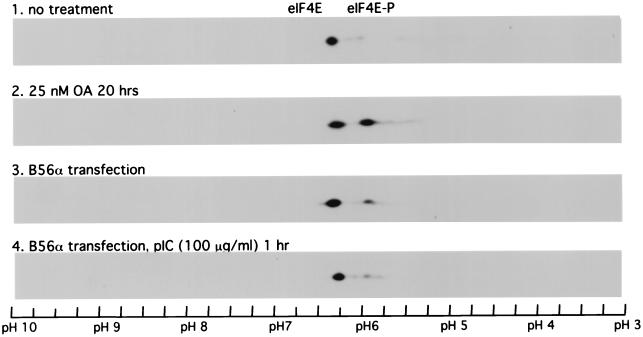 FIG. 9