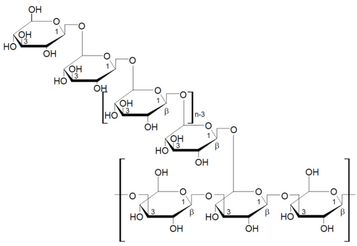 Beta-Glucans from Fungi: Biological and Health-Promoting Potential in ...