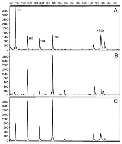 FIG. 5