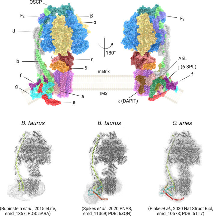 Fig. 2