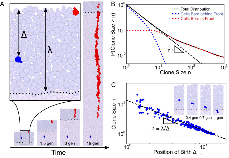 Fig. 3.