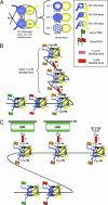 Fig. 2.