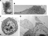 FIG. 5.