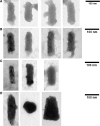 FIG. 12.