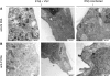 FIG. 8.