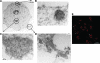 FIG. 9.