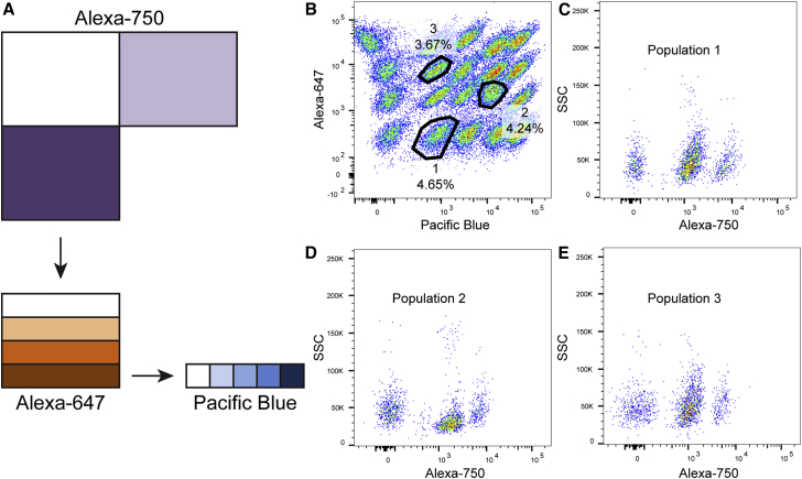 Figure 2