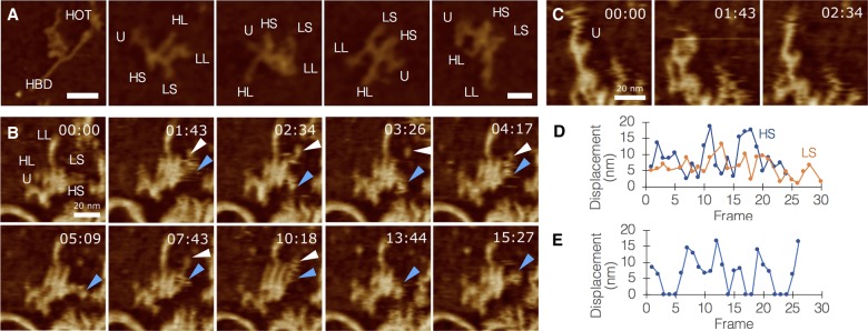 FIGURE 3.