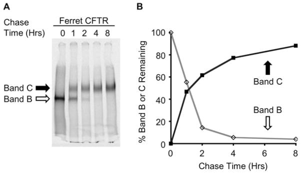 Fig. 19.4