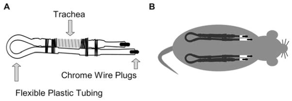 Fig. 19.1