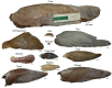 Fig. 9.
