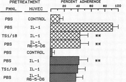 graphic file with name jcinvest00102-0279-b.jpg