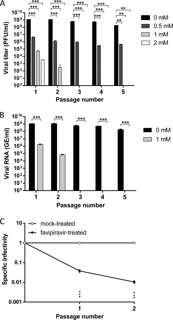 FIG 2