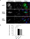 FIG 6