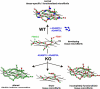 Fig. 3