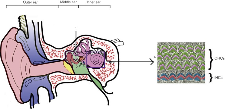 Fig. 3.