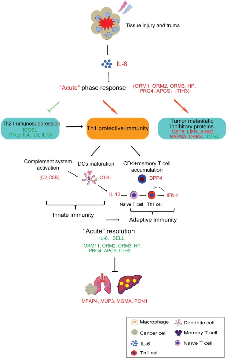 Figure 14