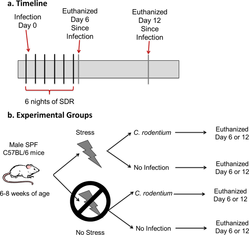 Figure 1: