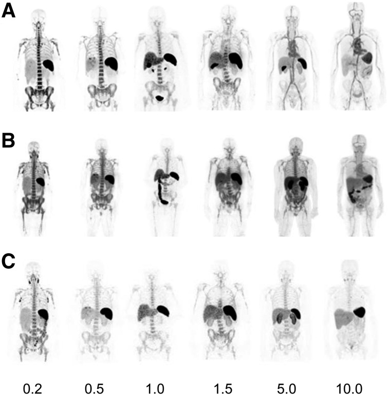 FIGURE 2.