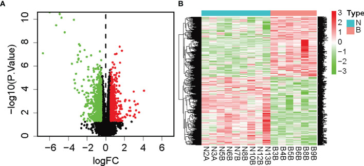 Figure 1