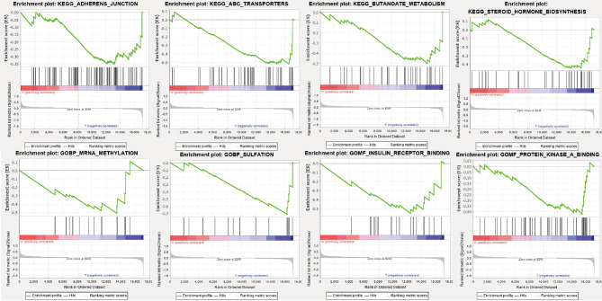 Figure 5