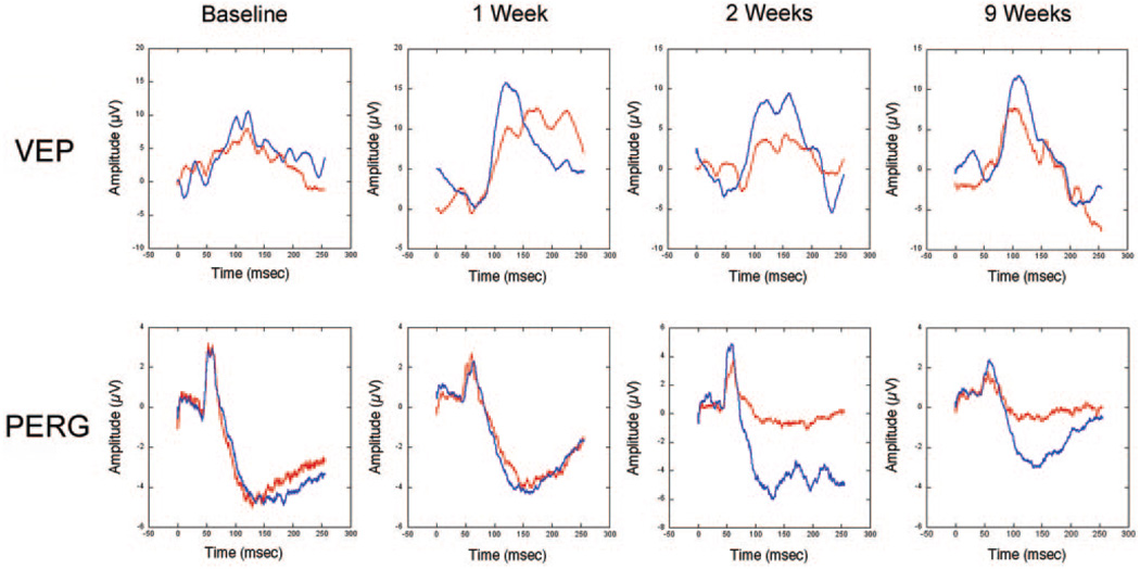 FIGURE 3