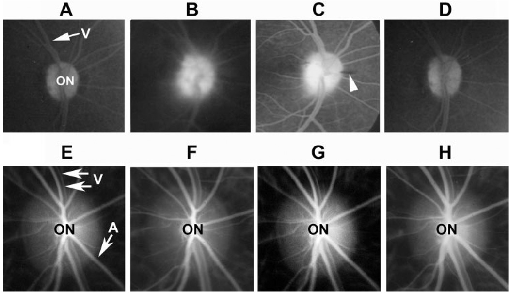 FIGURE 2