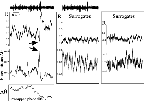 Fig. 1